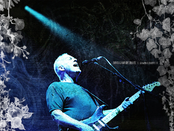 gilmour3