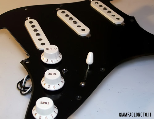 BS pickguard1 | GIAMPAOLO NOTO