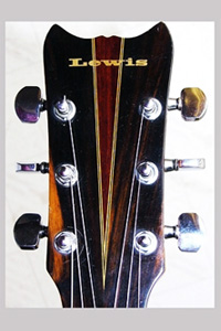 BILL LEWIS GUITAR